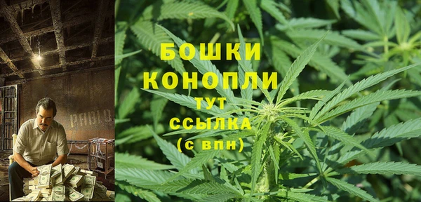 мдпв Володарск