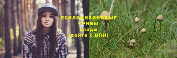 мдпв Володарск