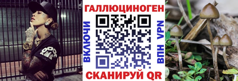 хочу Балаково Галлюциногенные грибы Cubensis